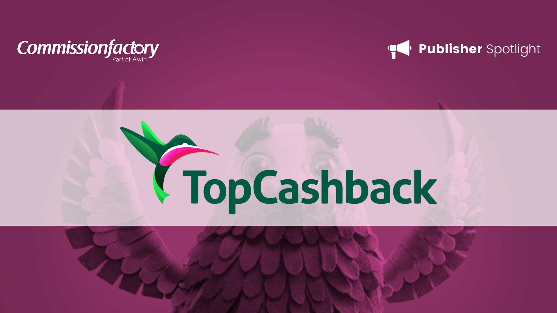 Publisher Spotlight TopCashback